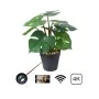 Planta Espiã Wi-Fi HD: Segurança Discreta com Estilo Moderno