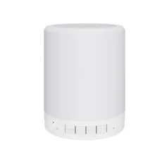 Caixa de Som Bluetooth com Câmara Espiã HD e Wifi Integrado