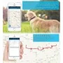 Coleira GPS 4G sem mensalidade, rastreie seu cão ao vivo