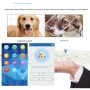 Coleira GPS 4G sem mensalidade, rastreie seu cão ao vivo