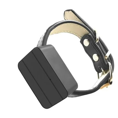 Rastreador GPS Pet: À Prova d'Água, Seguro e em Tempo Real